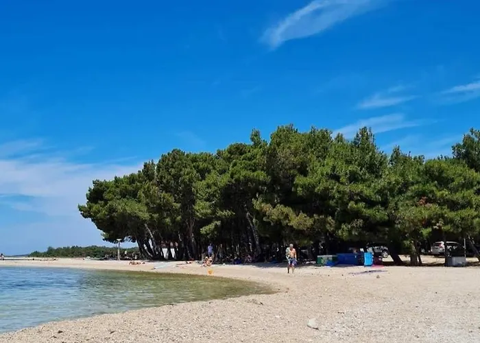 Tia * Povljana