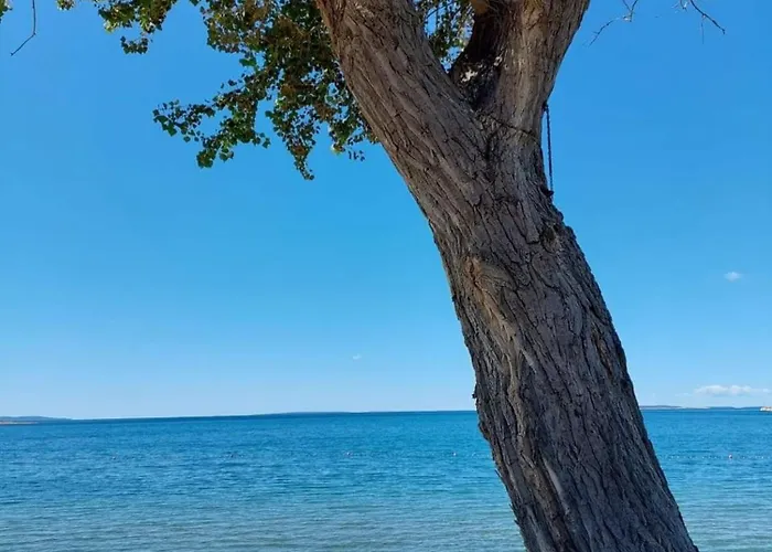 Tia * Povljana
