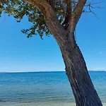 Tia * Povljana